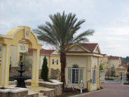 persica_landscape_nursery001007.jpg